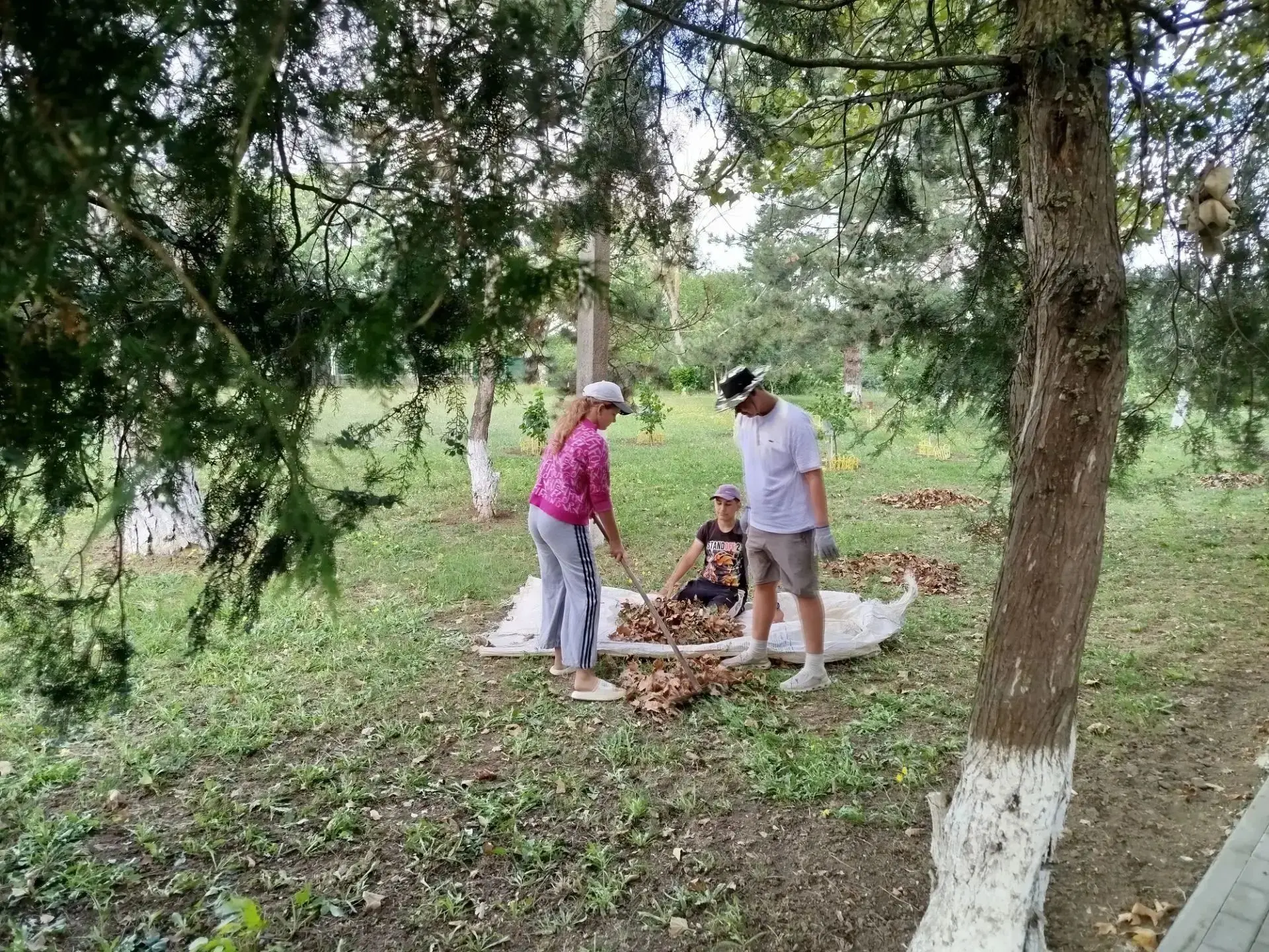 Сегодня учащиеся, волонтеры навели порядрк на Аллее славы МБОУ СОШ 20. Ребята убрали мусор, прополол