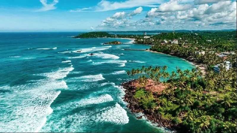 🇱🇰 Между Петербургом и Шри-Ланкой запустят прямые рейсы ✈️ 

Как ожидается, вылеты из #Пулково дол
