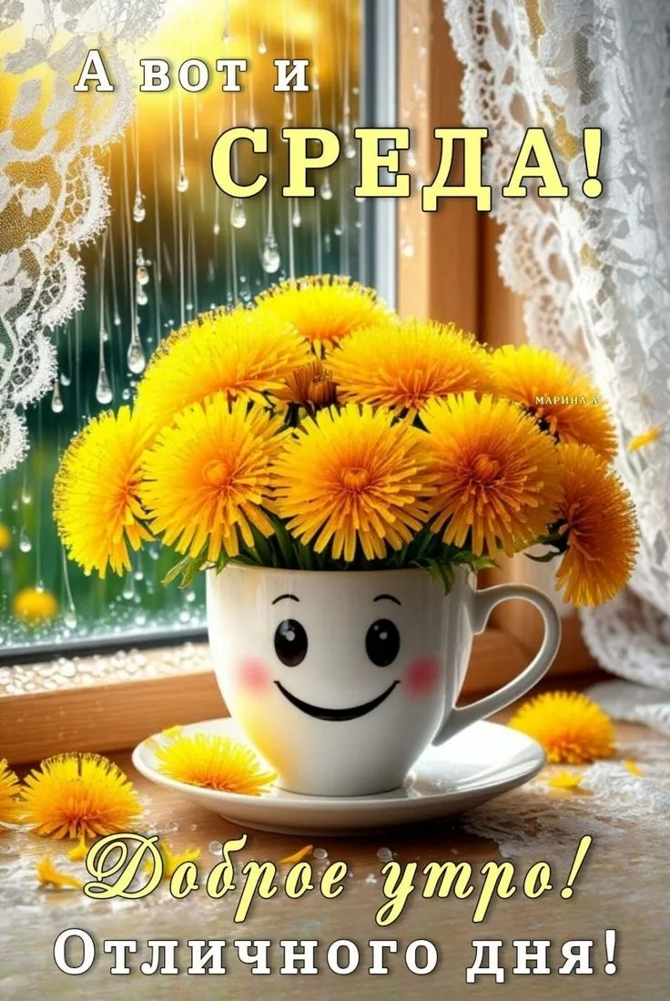 ОТКРЫТКИ