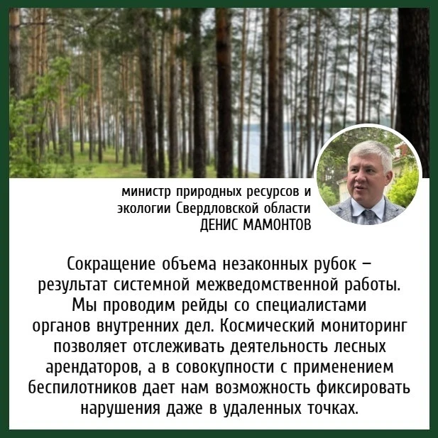 Сохранение лесного фонда — одна из ключевых задач национального проекта „Экологическое благополучие“