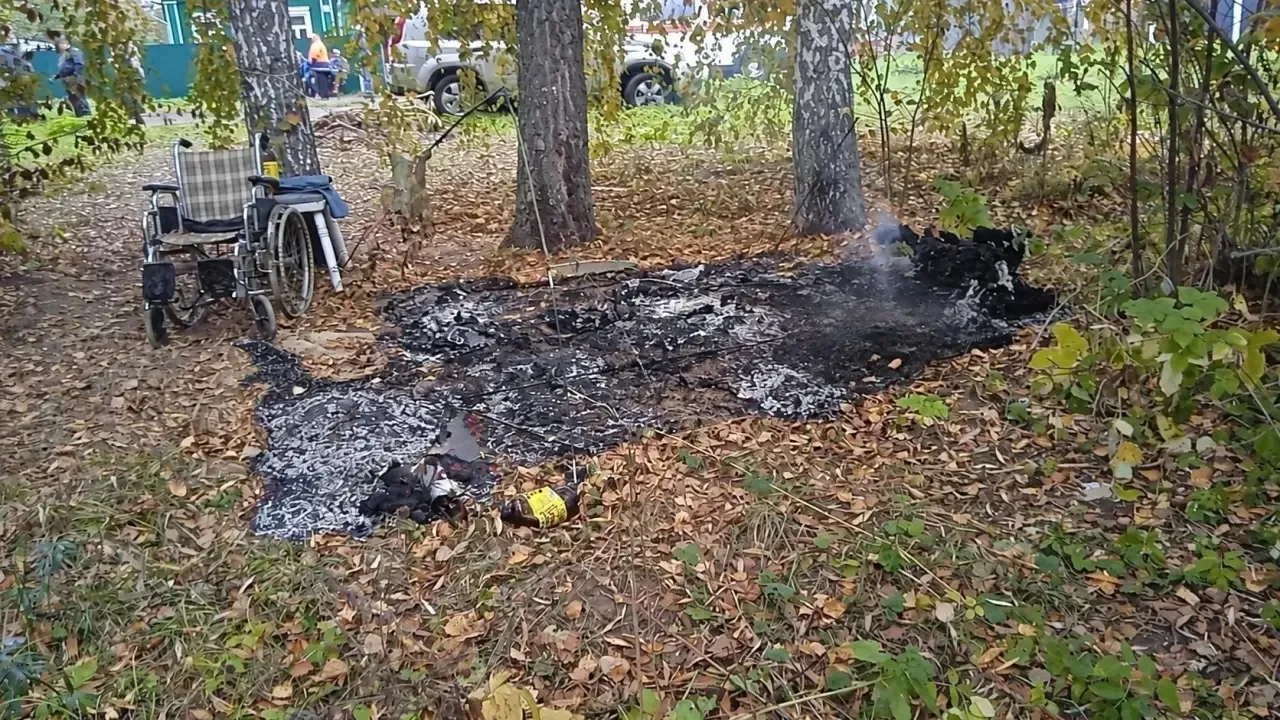 😱 Турист сгорел в собственной палатке на берегу Даудовского пруда в Подмосковье.