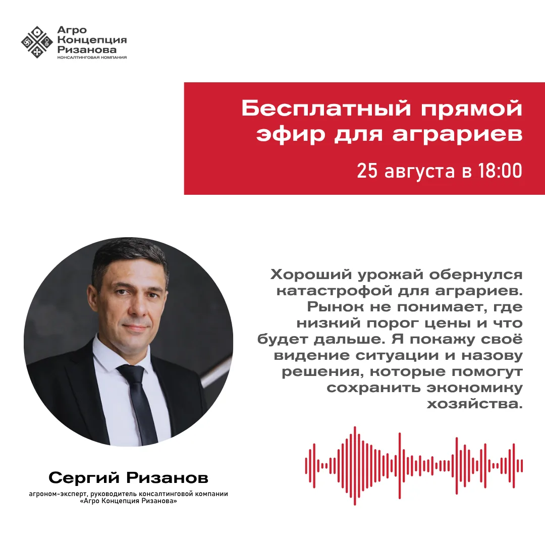 ⚠️ Цены на пшеницу нет. Сеять или не сеять? — вот в чём вопрос.