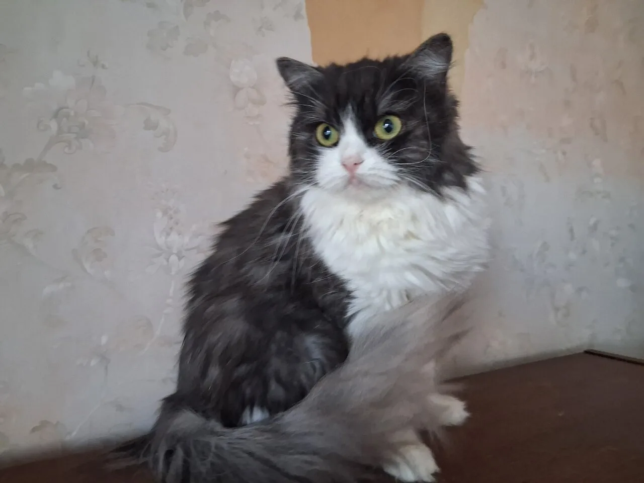 МУСЕНЬКА