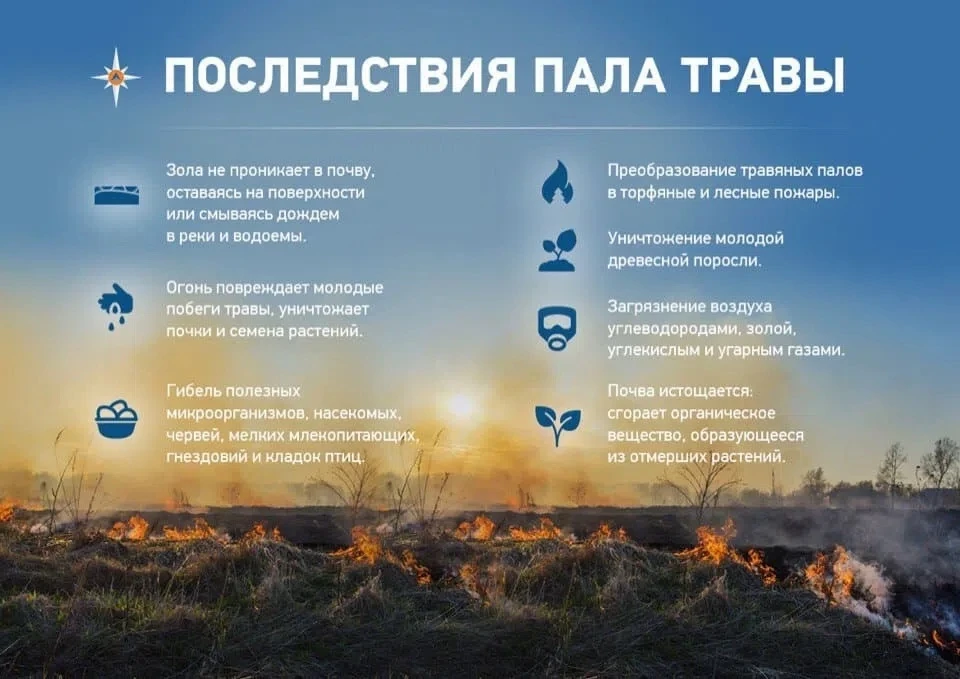 Пал сухой травы. Почему это опасно и к чему может привести?