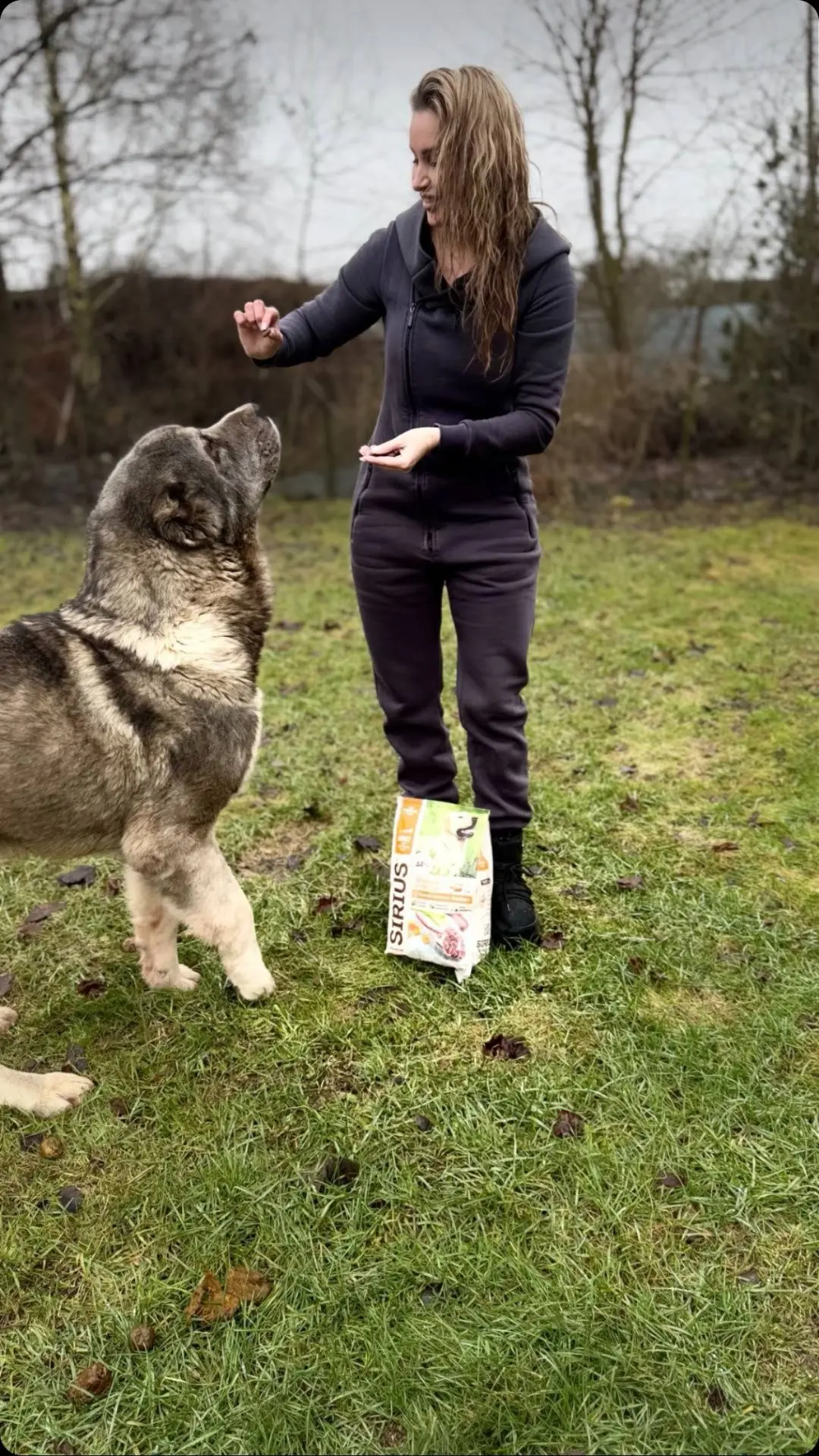 Девочки, мини-отчет по нашему хвостику🐶 

Всё у него отлично: важный, довольный и с аппетитом, будт