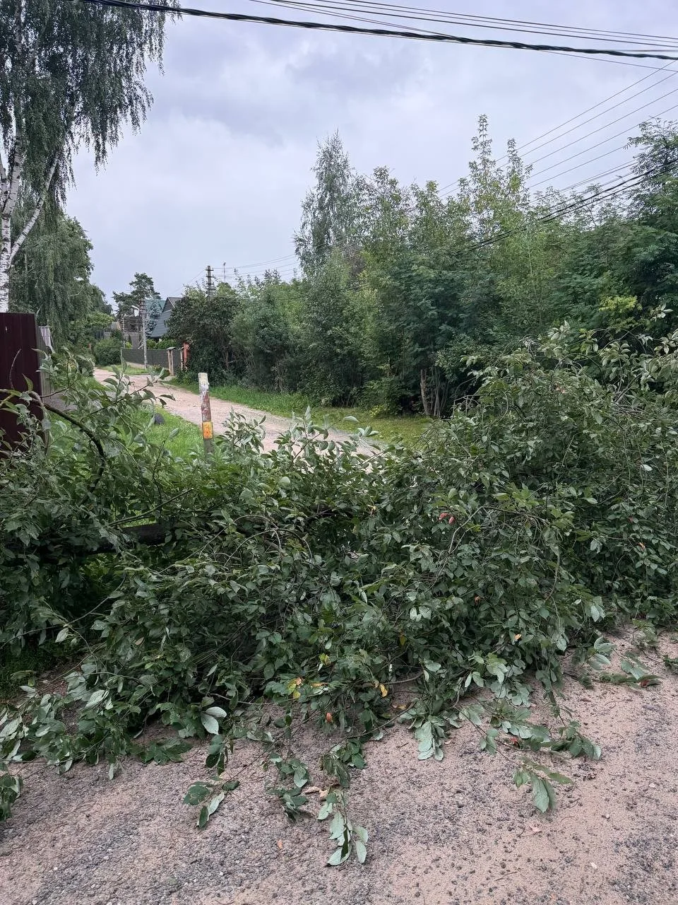 РАМЕНСКИЙ район, село Новое, пересечение ул К.Марса и Чкалова. Упало дерево перегородив...