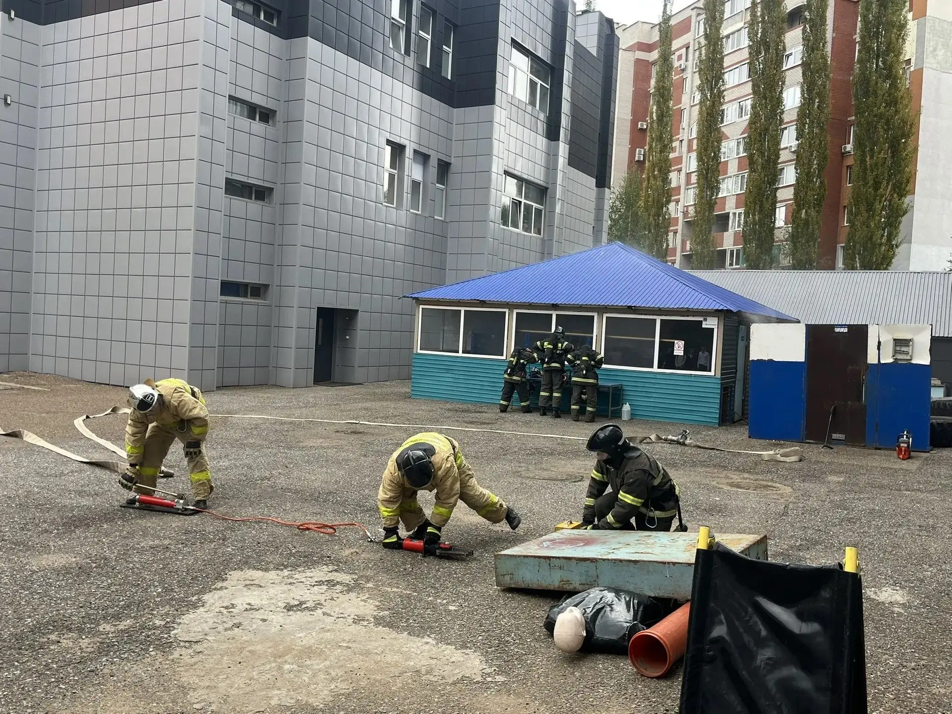 Показательные выступления в честь Дня знаний