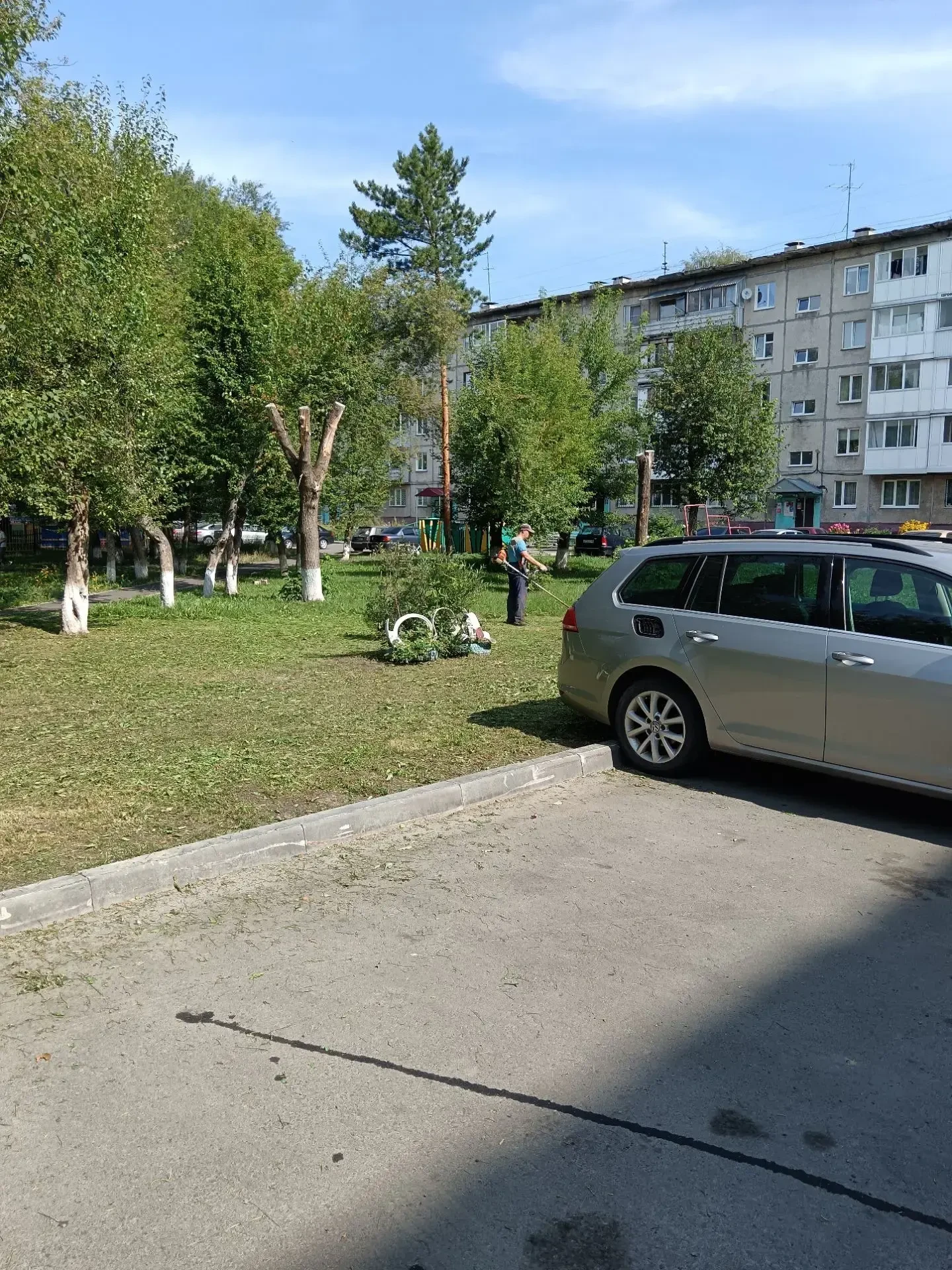 Окос территории дома бр.Строителей, 44а.