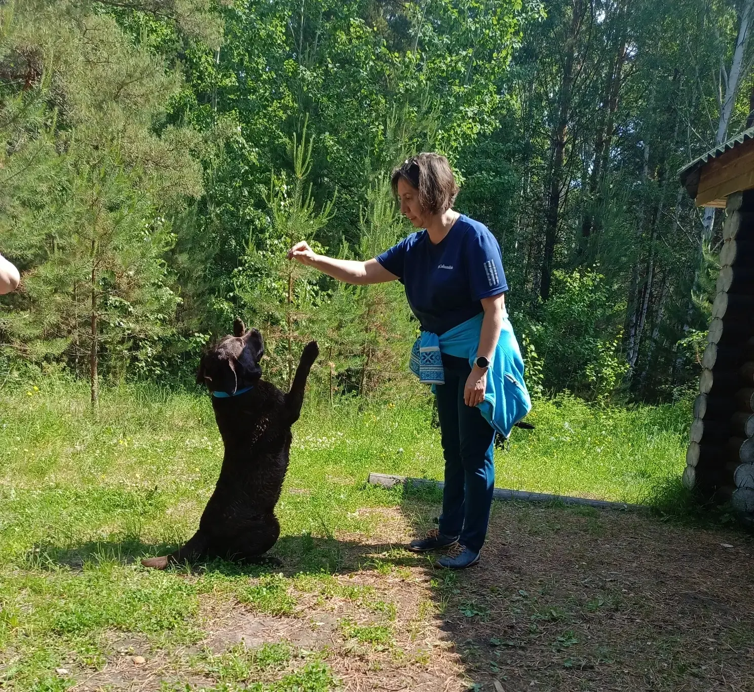 В субботу 27.06.2026г. состоялось выездное мероприятие "На  просторах Тенги" ⛅
Поездка выдалась насы