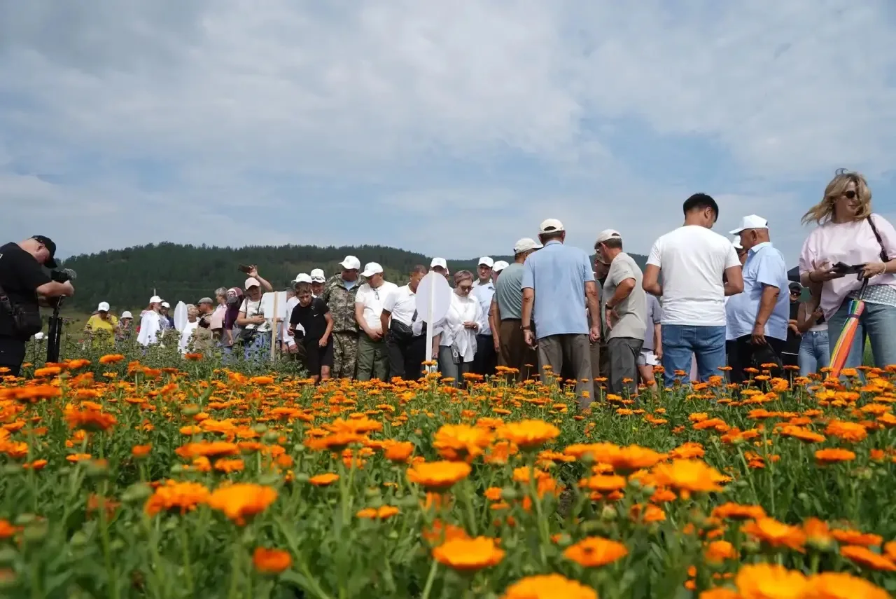 🚜 День поля-2026 стартовал на полях ООО «Куйтунское»