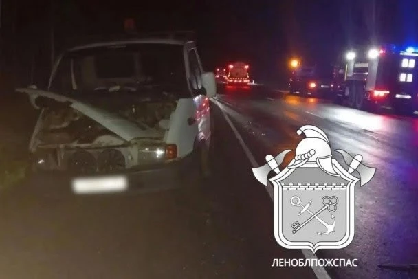 На 152-м километре трассы "Кола" 10 сентября в 1:27 ехавший в сторону Карелии водитель ...