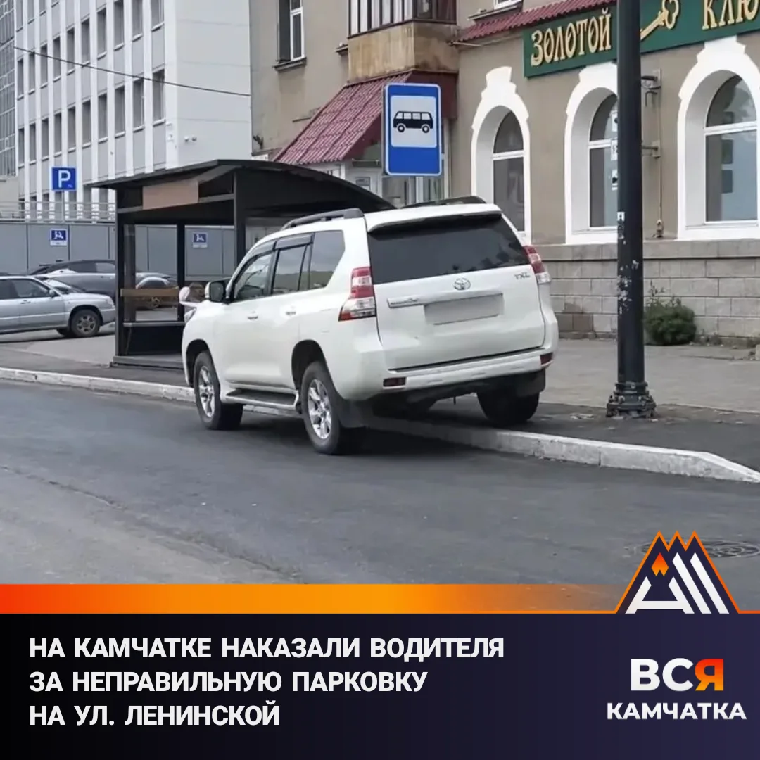 Нарушителя нашли через интернет
