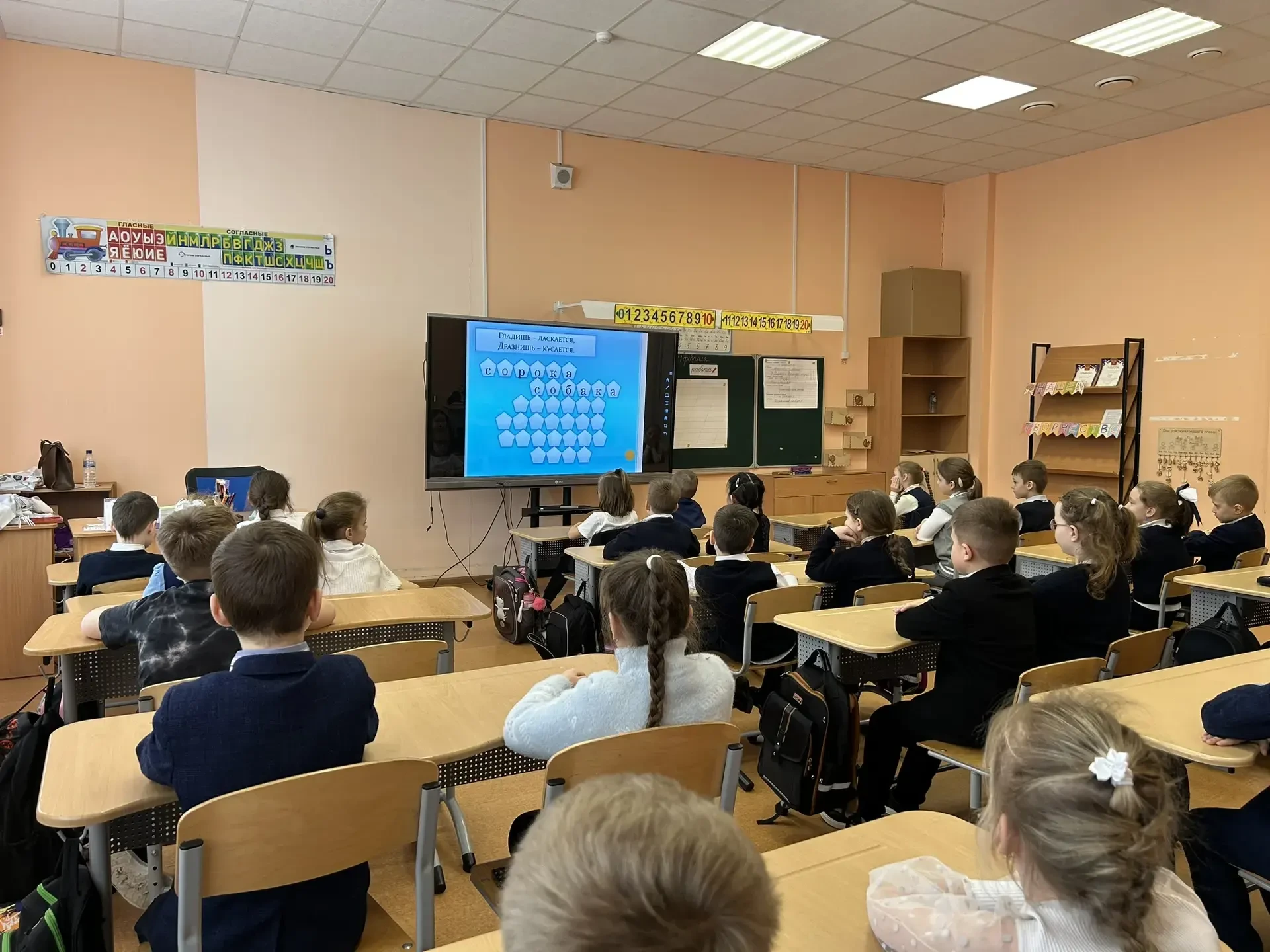 День русского языка и День окружающего мира  04 февраля в начальной школе - День русского языка, кот