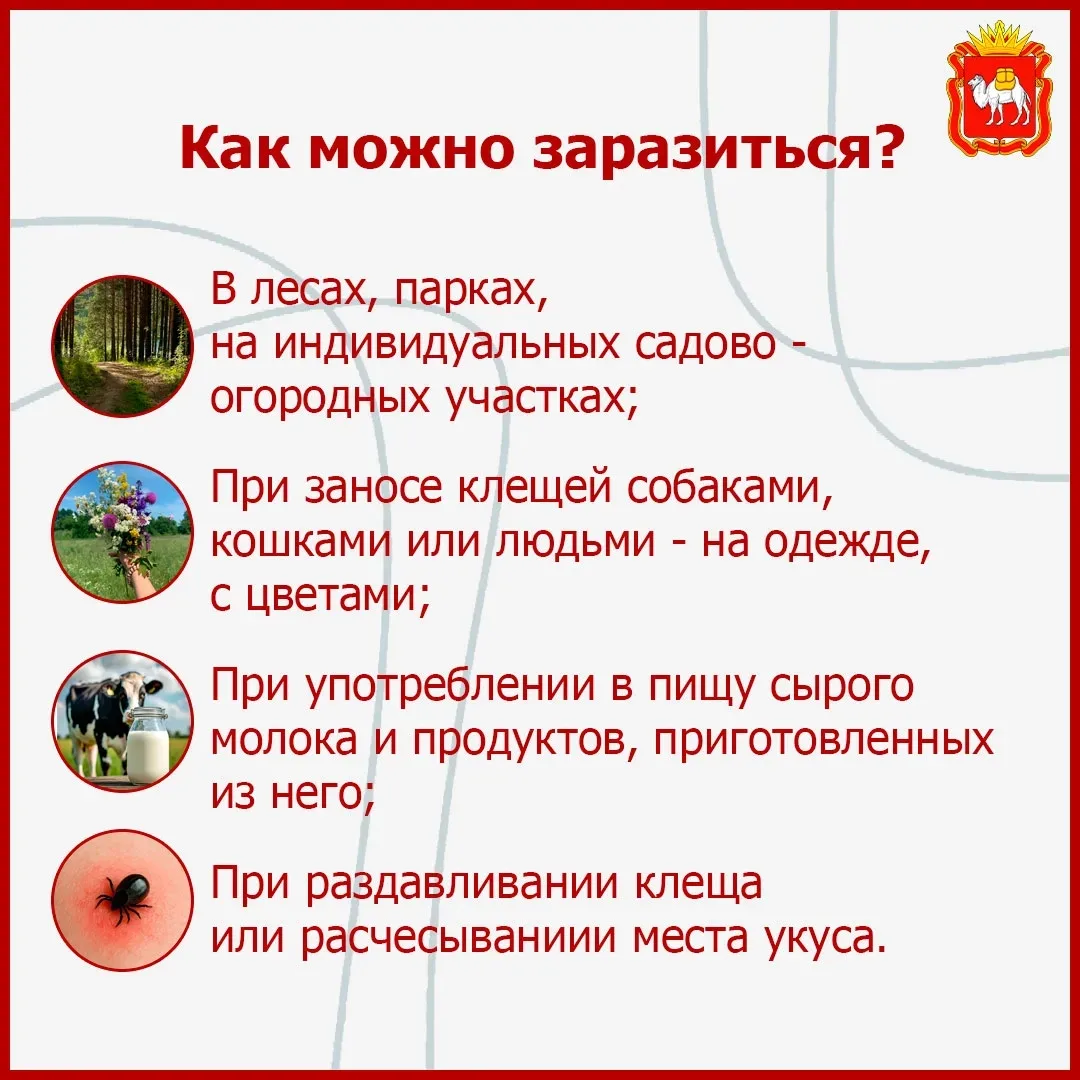 🌲 Клещевой энцефалит: как защитить себя?  Сезон активности клещей уже начался. Чтобы не рисковать зд