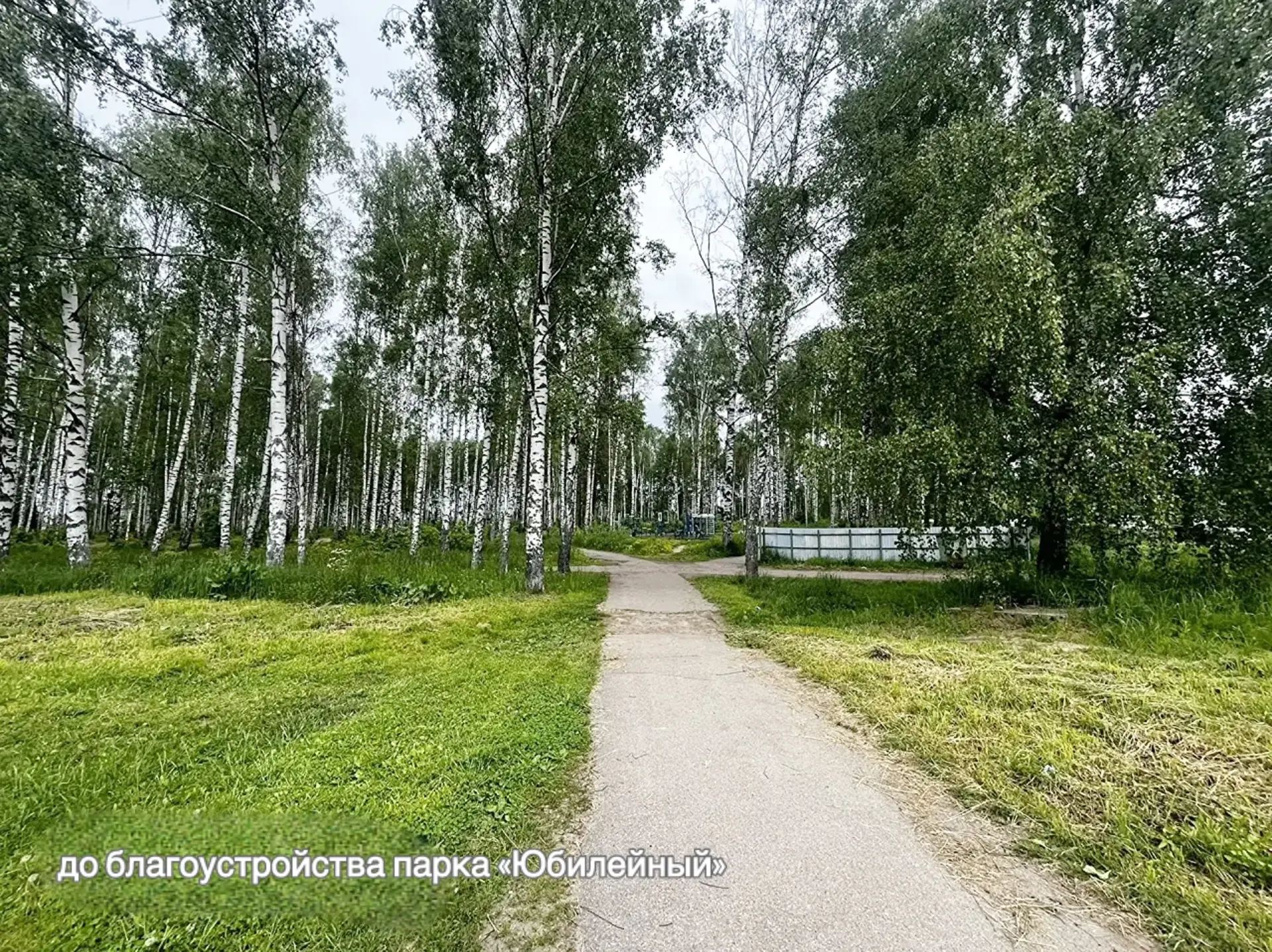В Некрасовском благоустроят парк «Юбилейный» по нацпроекту

За последние пять лет в Некрасовском окр