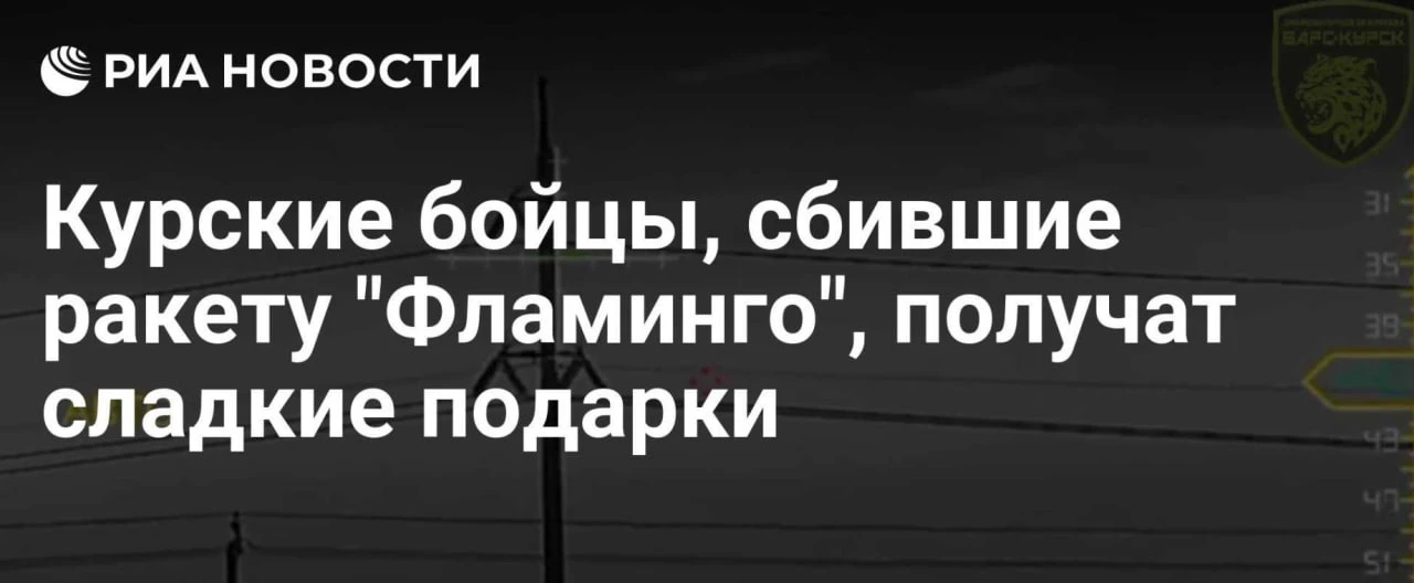 Бойцы, сбившие ракету Фламинго из пулемёта, получат пряники и пастилу — распоряжение гу...