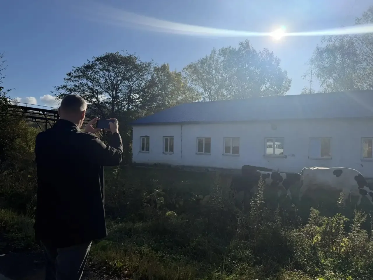 В Шахтерске прошёл рейд по фактам самовольного выгула крупного рогатого скота