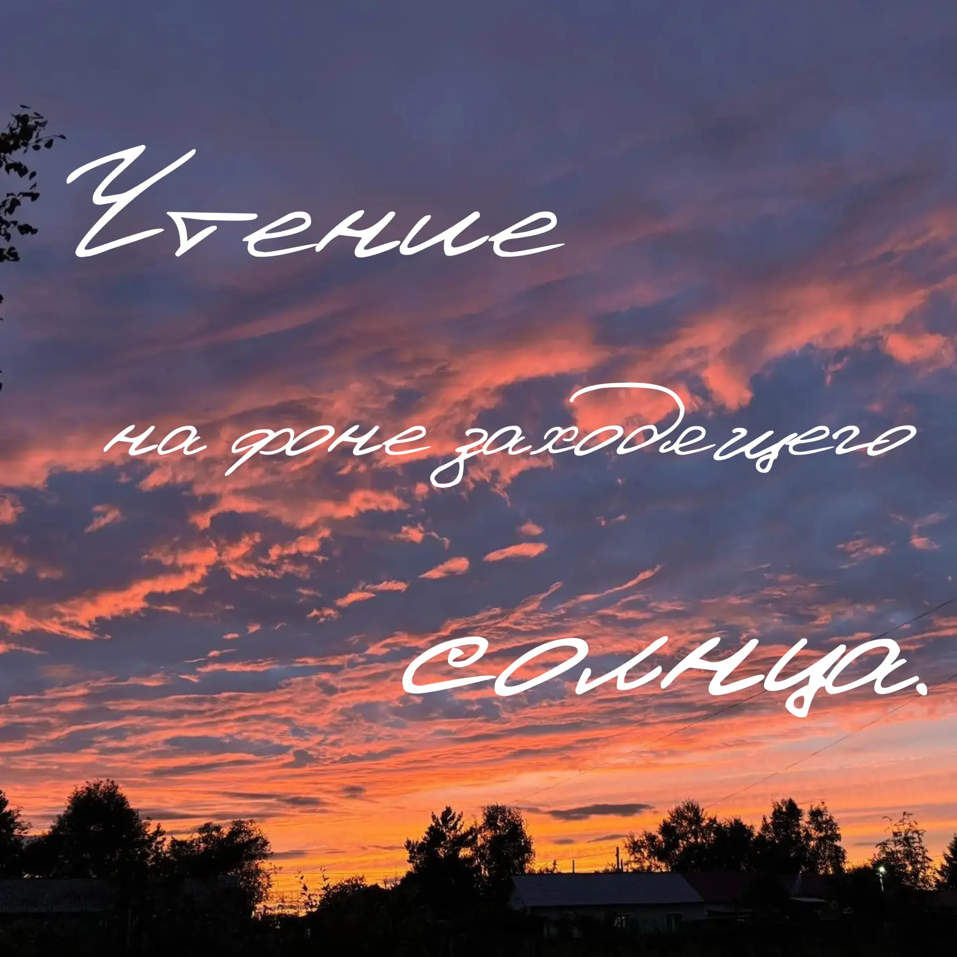 Друзья, вы видели вчера закат?🌅