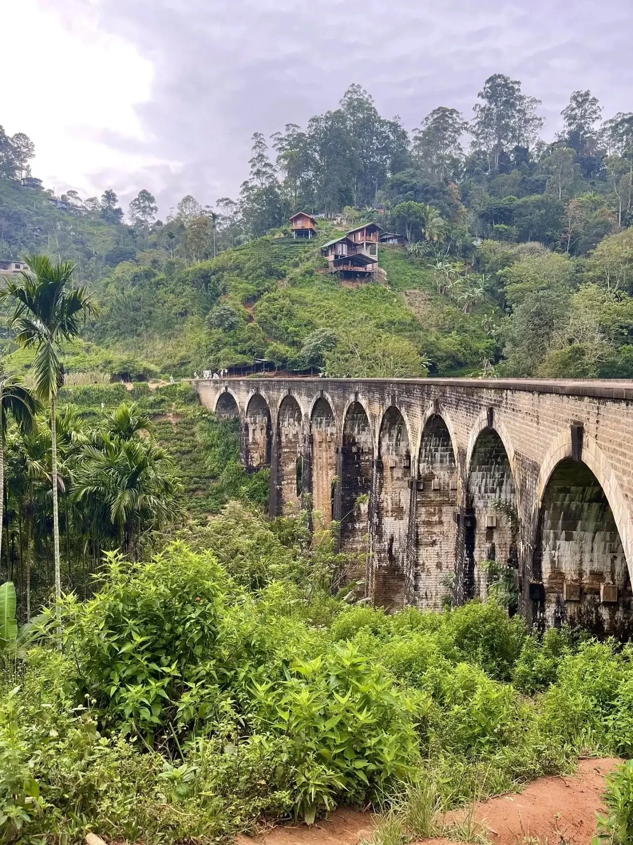 ШРИ-ЛАНКА ОТ НАШЕГО МЕНЕДЖЕРА 🇱🇰