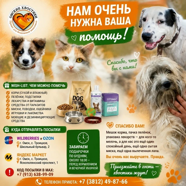 🎁 Wish-list: чем можно помочь приюту "Омские хвостики":

Мы — частный приют-хоспис «Омские хвостики