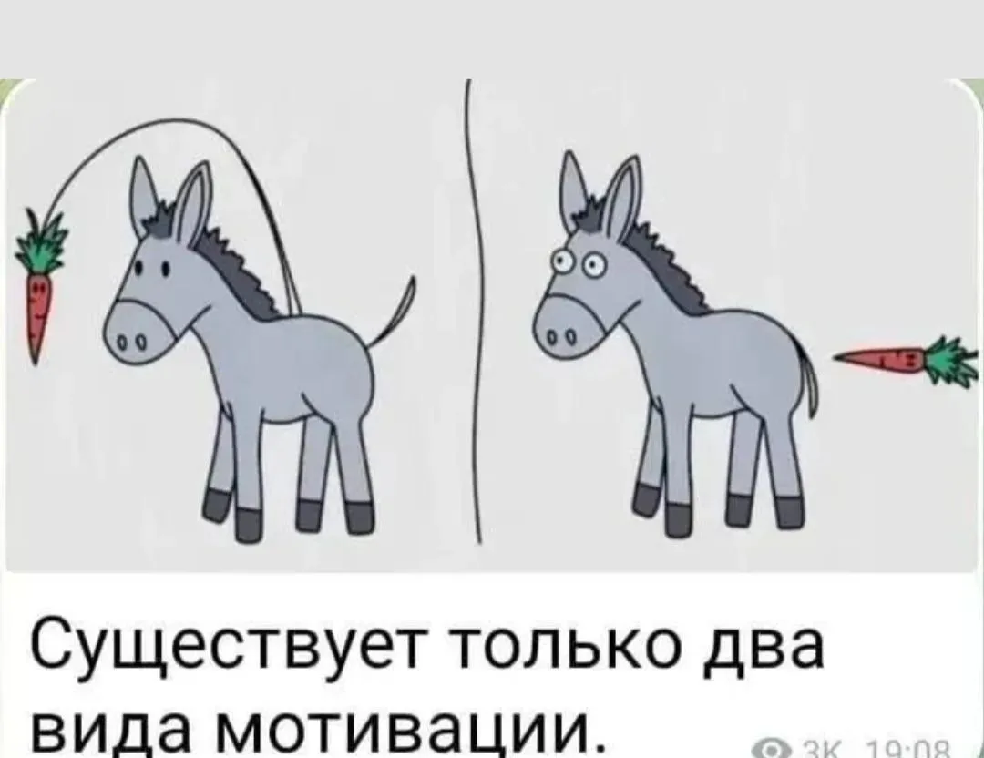 Ну, что же кому-то нравится в жопу....