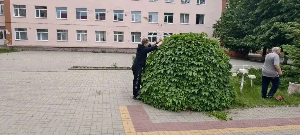Один день - две важные задачи 🌿 📚