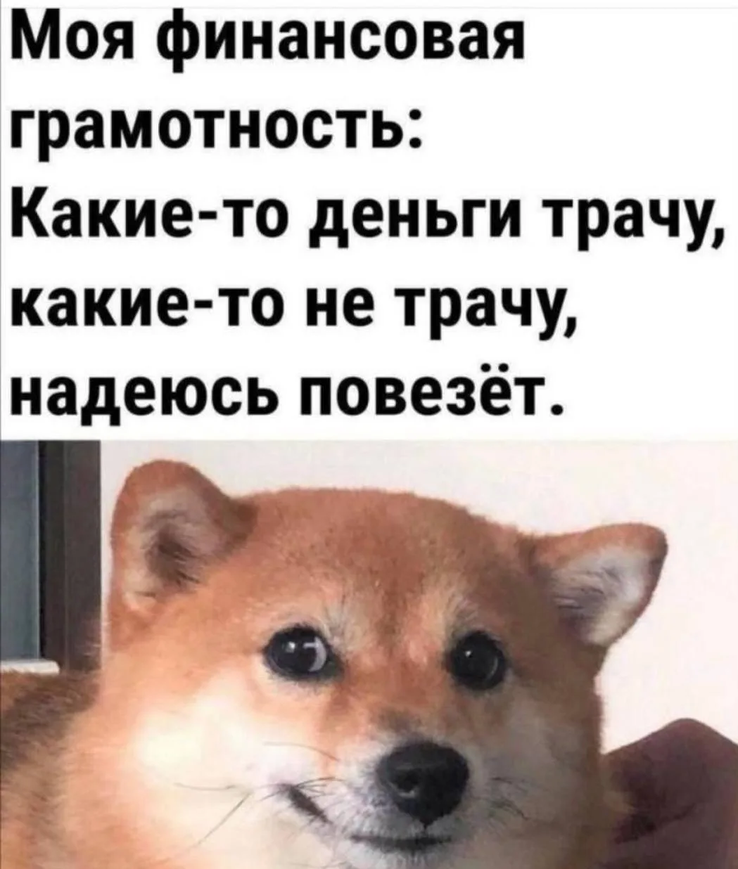 На чем экономит наша семья?