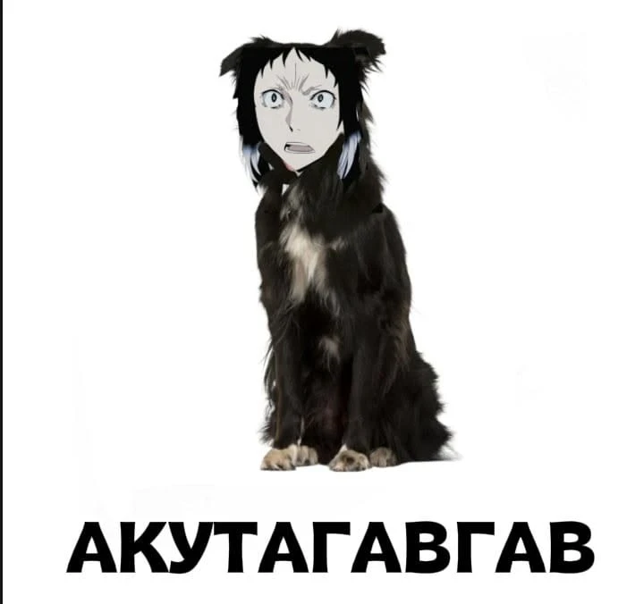 #bsd