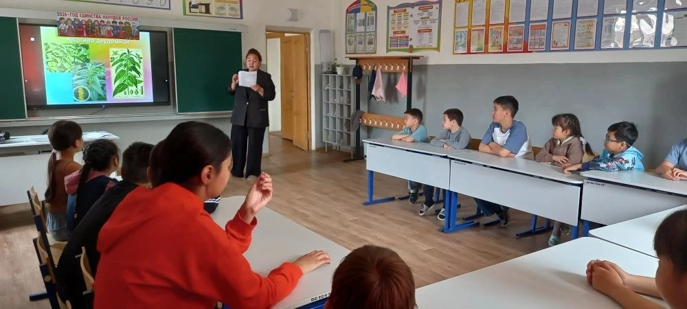 🌿 День 2: Экологический десант в действии!