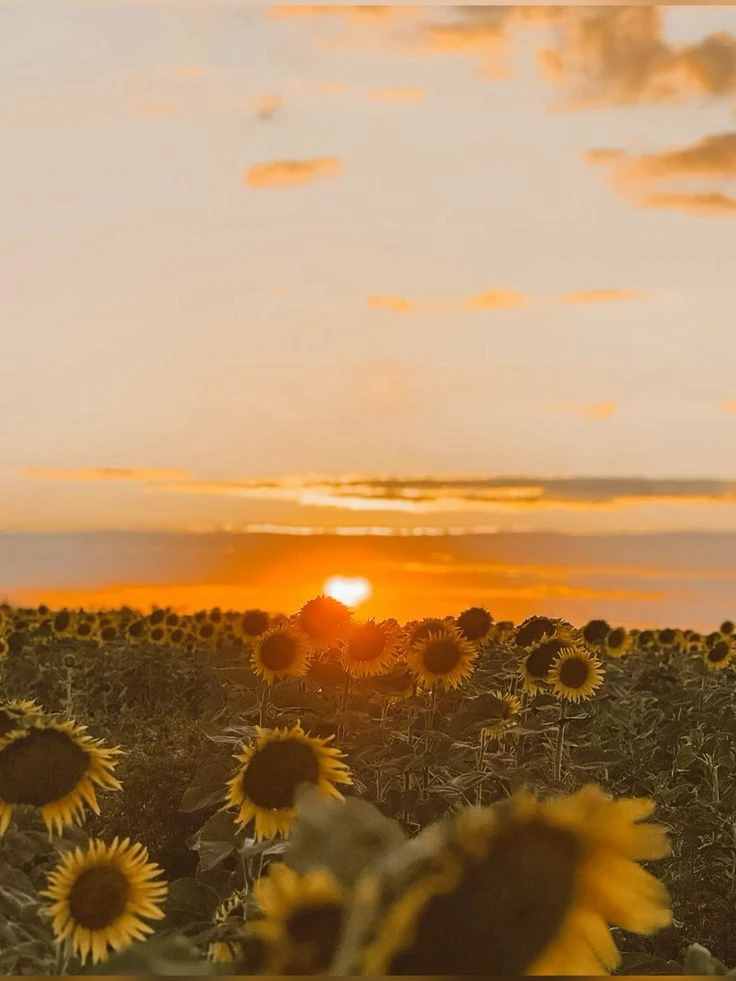 Август, не спеши 🌷
