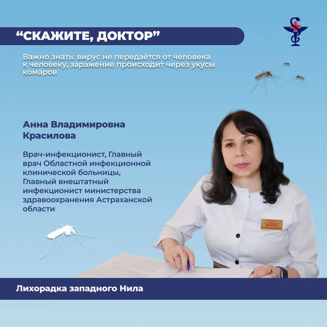 В связи с наступлением сезона активности комаров - переносчиков вируса Западного Нила  врач-инфекцио