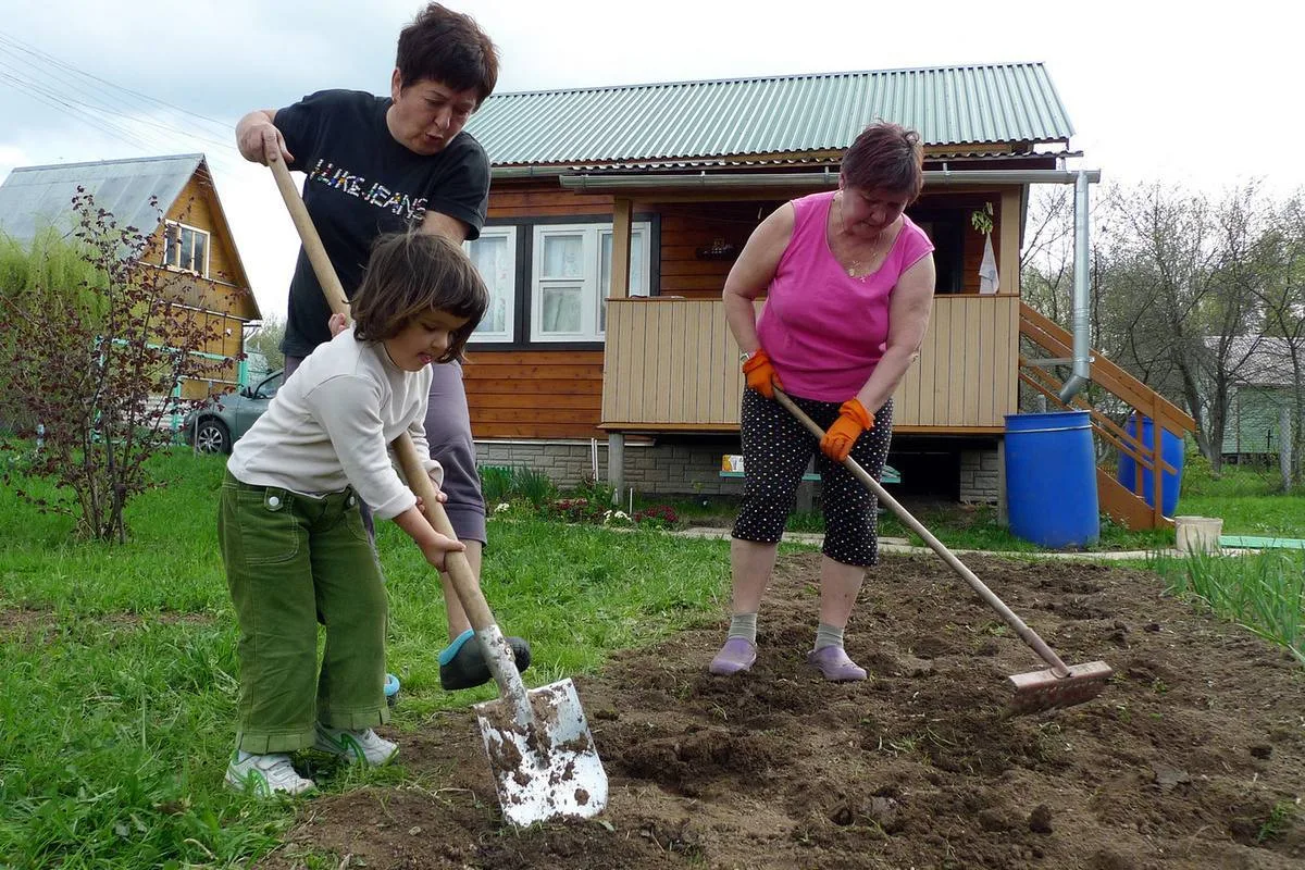 Дача вредит спине больше, чем офисное кресло, предупреждают врачи.  По словам остеопатов, резкие наг