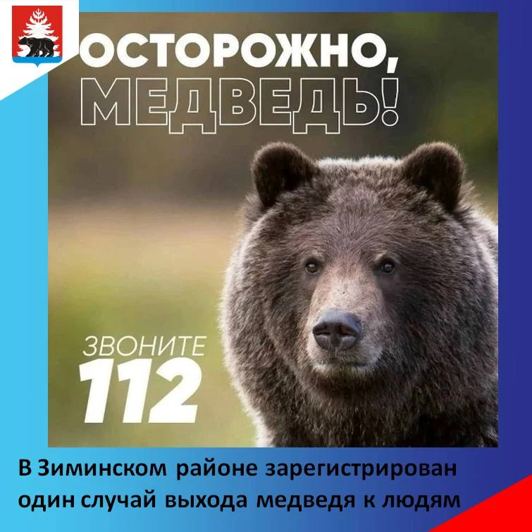 По информации Службы по охране и использованию объектов животного мира Иркутской област...