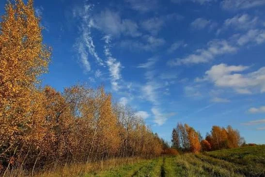 Интересное и важное за рабочую неделю в ОРБИТ: