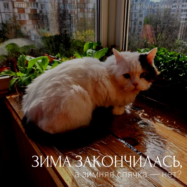 Зима закончилась, а зимняя спячка — нет ?😒

Ура! Наконец-то потеплело, мы так долго этого ждали. Со