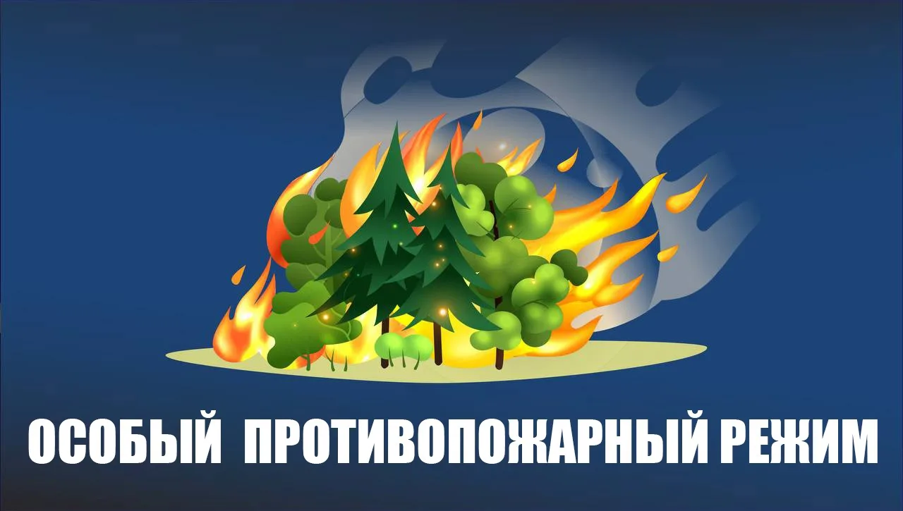 Внимание! Особый противопожарный режим в Кольском округе!
  
На территории Туманного и  Териберки  К