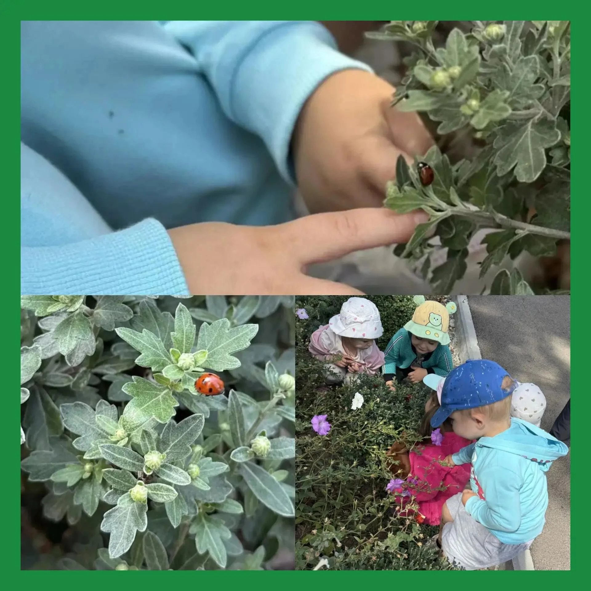 🐞 Маленькая гостья в младшей группе №2: знакомимся с божьей коровкой!