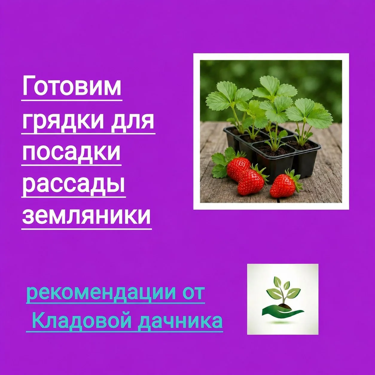 Доброго дня💚