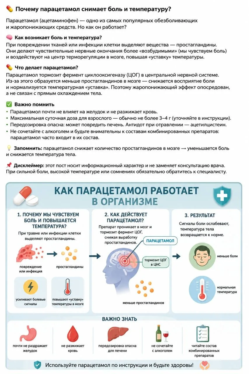 💊 Почему парацетамол снижает температуру, но почти не борется с воспалением?