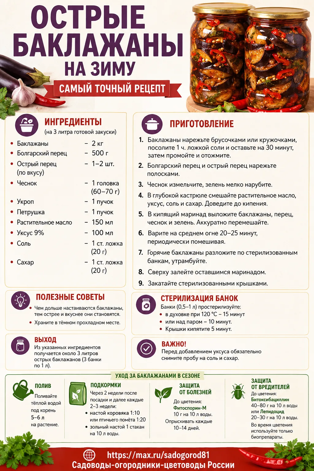 Острые баклажаны на зиму - самый точный рецепт