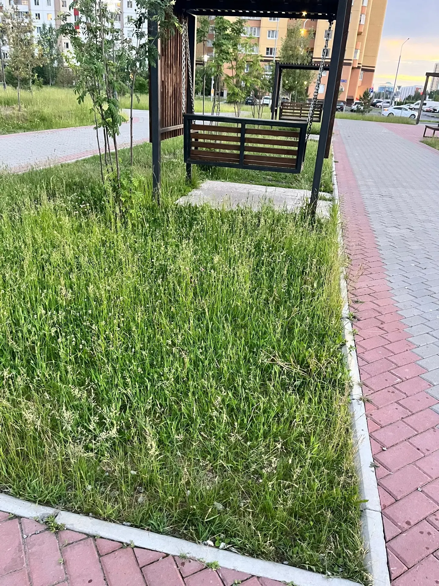 Сквер любви, семьи и верности - в запущенном состоянии, кругом мусор, урны и лавочки сломаны, трава 