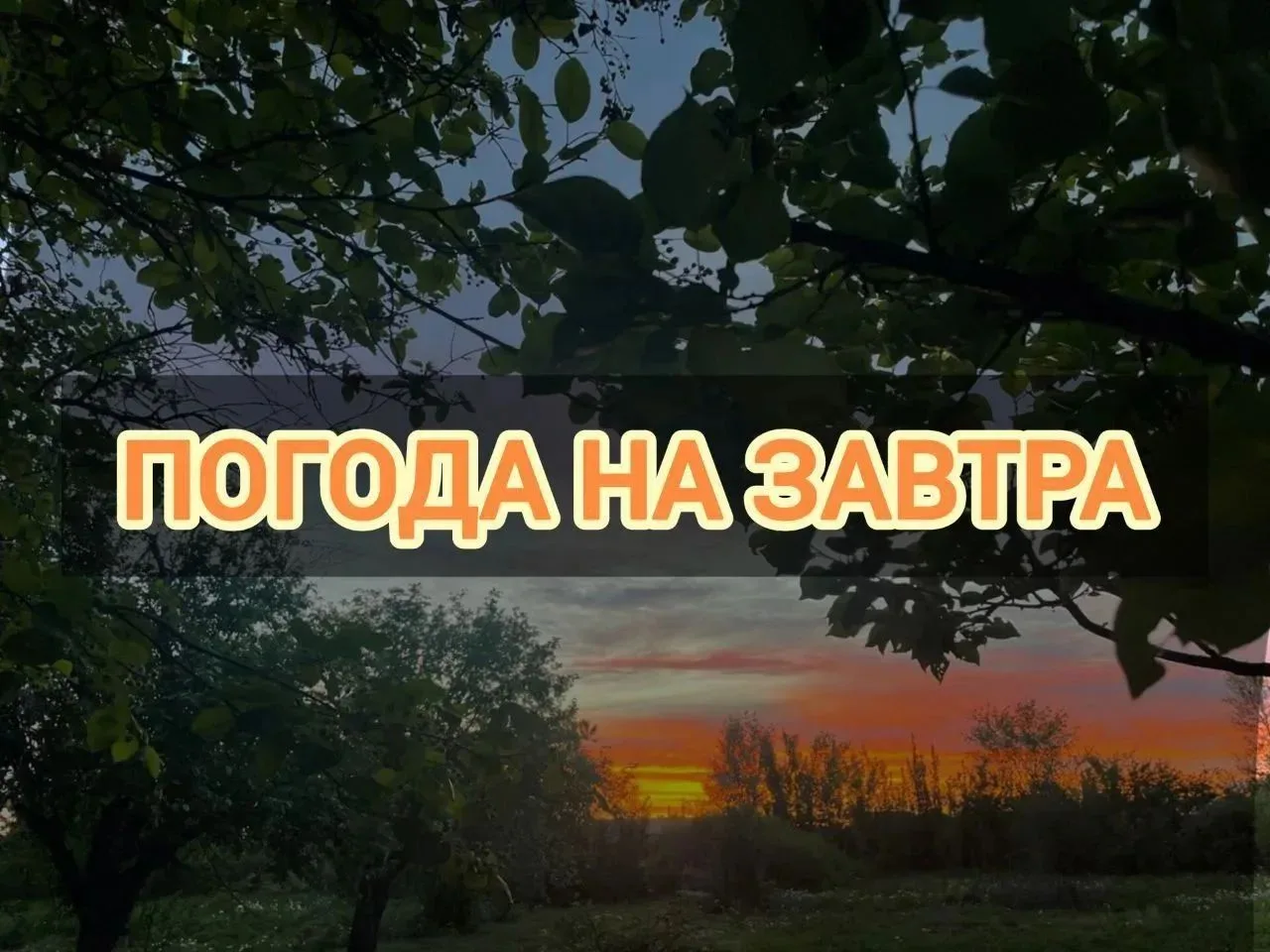 ‎Добрый вечер, жители Подлесновского МО! 🌅