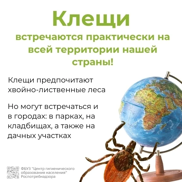 Осторожно! Клещи!