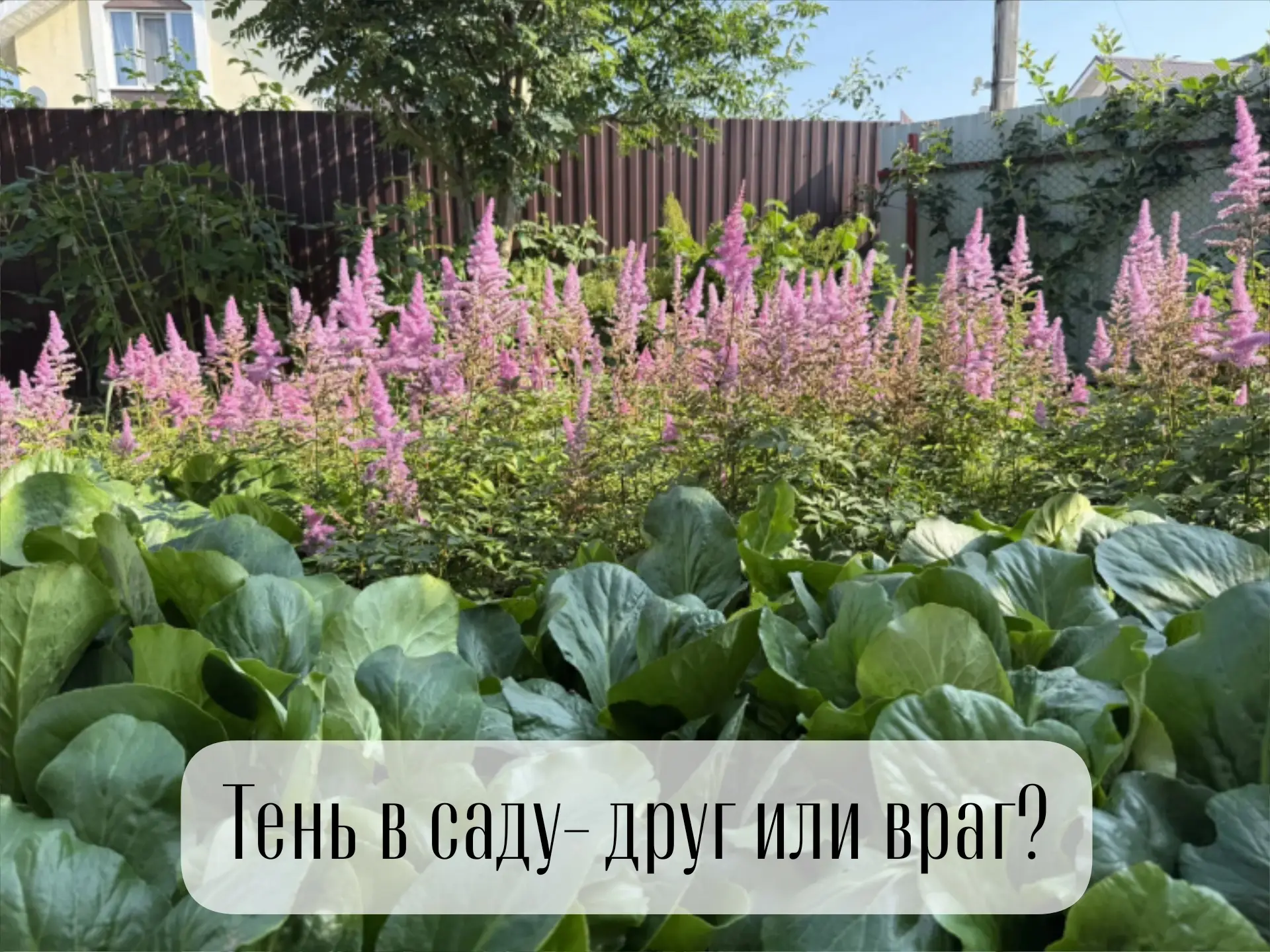 Тень — друг или враг?