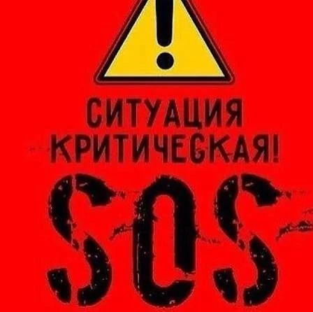 У нас ещё есть время — несколько дней, возможно неделя или чуть больше.