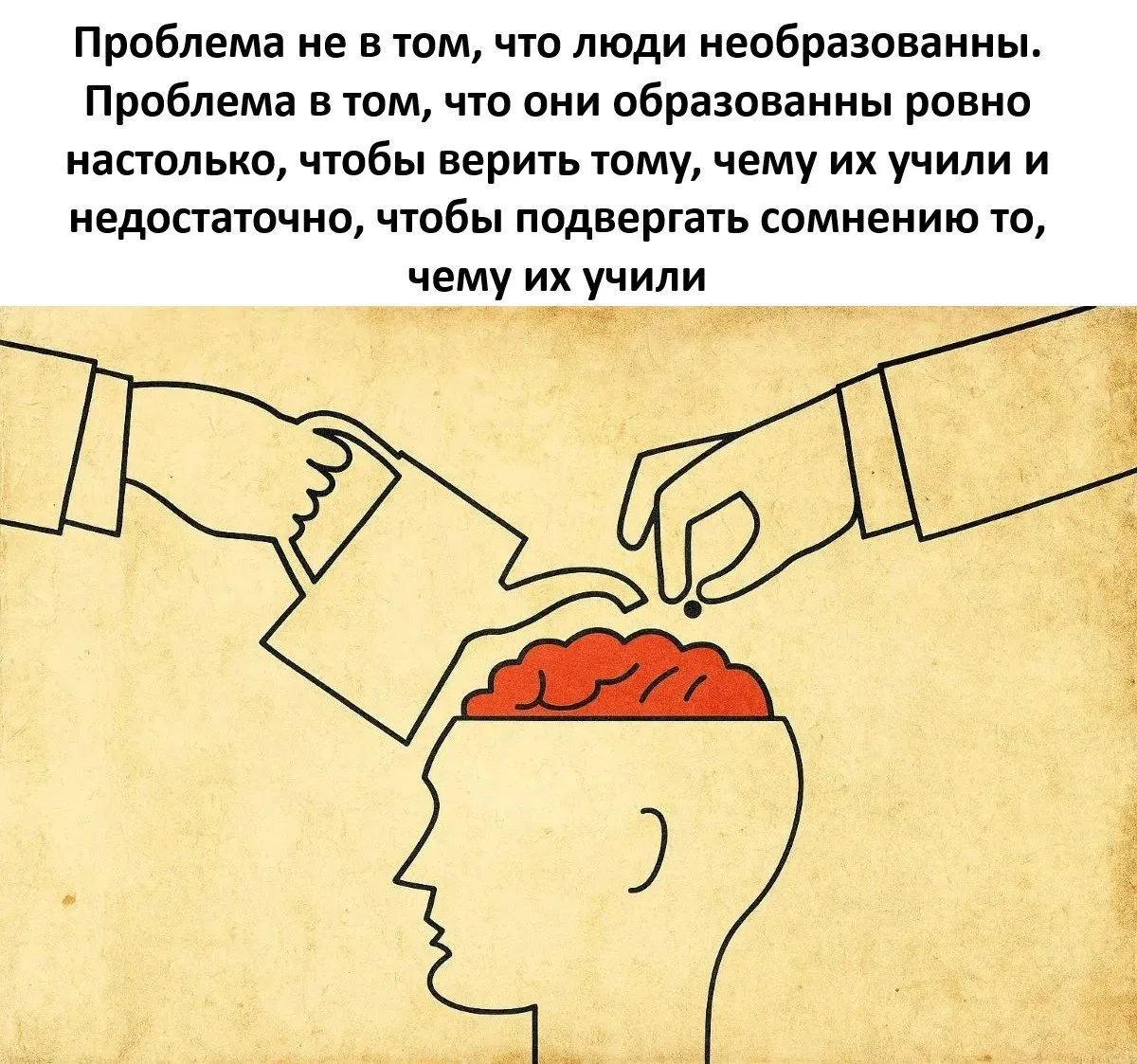 Подпишись на Кринжулю 👉🏻 в TG, в VK и в Макс