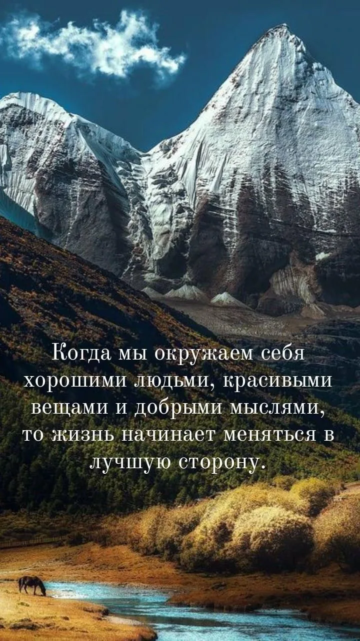 СОЛНЕЧНЫЕ ОТКРЫТКИ