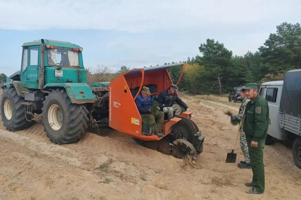 БОЛЕЕ 10 ТЫСЯЧ ДЕРЕВЬЕВ ВЫСАДЯТ НА ДОНУ в рамках акции «Сохраним лес»