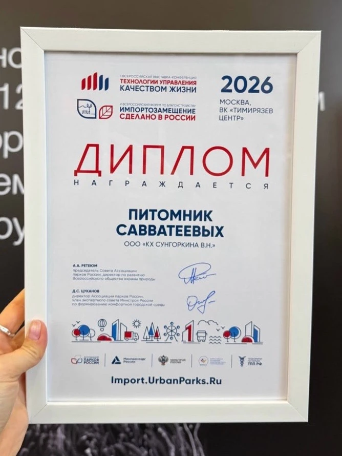 С чего начинается качество жизни в городе?