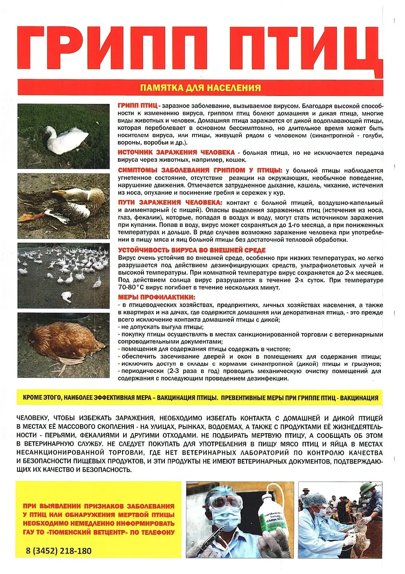 ❗️Памятка Грипп птиц – как защитить себя и своих близких
